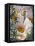 Prickly Poppies and Yellowtails-Elizabeth Horning-Framed Stretched Canvas