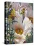 Prickly Poppies and Yellowtails-Elizabeth Horning-Stretched Canvas