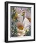 Prickly Poppies and Yellowtails-Elizabeth Horning-Framed Giclee Print