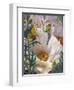 Prickly Poppies and Yellowtails-Elizabeth Horning-Framed Giclee Print