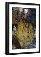 Priday Plume Agate, OR-Darrell Gulin-Framed Photographic Print