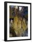 Priday Plume Agate, OR-Darrell Gulin-Framed Photographic Print