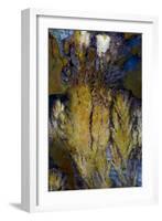 Priday Plume Agate, OR-Darrell Gulin-Framed Photographic Print