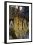 Priday Plume Agate, OR-Darrell Gulin-Framed Photographic Print