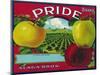 Pride Brand Apple Label, Watsonville, California-Lantern Press-Mounted Art Print