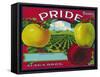Pride Brand Apple Label, Watsonville, California-Lantern Press-Framed Stretched Canvas