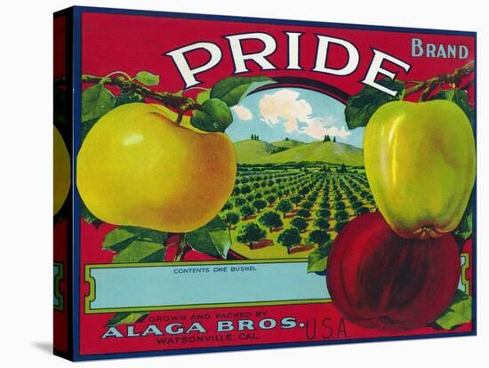 Pride Brand Apple Label, Watsonville, California-Lantern Press-Stretched Canvas