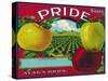Pride Brand Apple Label, Watsonville, California-Lantern Press-Stretched Canvas