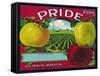 Pride Brand Apple Label, Watsonville, California-Lantern Press-Framed Stretched Canvas