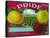 Pride Brand Apple Label, Watsonville, California-Lantern Press-Stretched Canvas