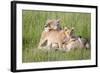 Pride of a Lioness-Susann Parker-Framed Photographic Print