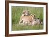 Pride of a Lioness-Susann Parker-Framed Photographic Print