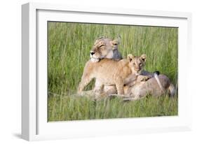 Pride of a Lioness-Susann Parker-Framed Photographic Print