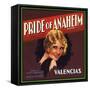 Pride of Anaheim Brand - Anaheim, California - Citrus Crate Label-Lantern Press-Framed Stretched Canvas