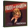 Pride of Anaheim Brand - Anaheim, California - Citrus Crate Label-Lantern Press-Stretched Canvas