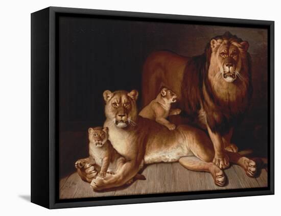 Pride of Lions-Jean-Baptiste Huet-Framed Stretched Canvas