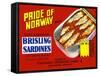 Pride Of Norway Brand Brisling Sardines-null-Framed Stretched Canvas