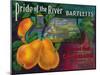 Pride of the River Pear Crate Label - Locke, CA-Lantern Press-Mounted Art Print