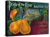 Pride of the River Pear Crate Label - Locke, CA-Lantern Press-Stretched Canvas