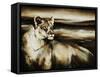 Pride of the Wild-Sydney Edmunds-Framed Stretched Canvas