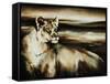 Pride of the Wild-Sydney Edmunds-Framed Stretched Canvas