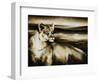 Pride of the Wild-Sydney Edmunds-Framed Giclee Print