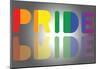 Pride Reflection-null-Mounted Poster