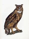 Pheasants-Prideaux John Selby-Mounted Giclee Print