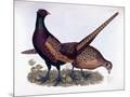 Wood Mount