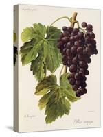 Prie' Rouge Grape-A. Kreyder-Stretched Canvas