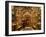Priest at Tomb of Jesus Christ, Church of Holy Sepulchre, Old Walled City, Jerusalem, Israel-Christian Kober-Framed Photographic Print