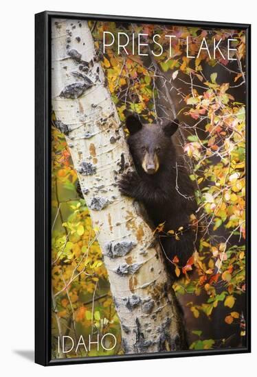 Priest Lake, Idaho - Bear Cub in Tree-Lantern Press-Framed Art Print