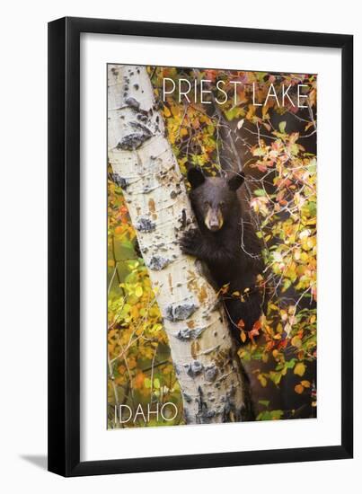 Priest Lake, Idaho - Bear Cub in Tree-Lantern Press-Framed Art Print