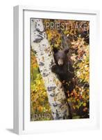 Priest Lake, Idaho - Bear Cub in Tree-Lantern Press-Framed Art Print