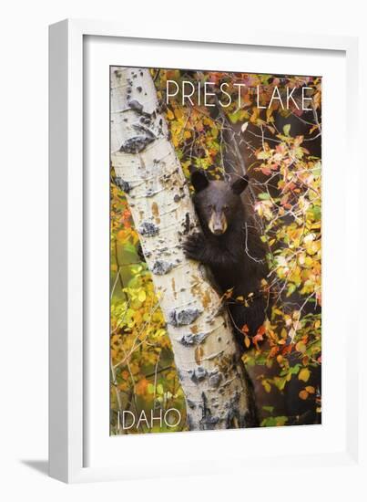 Priest Lake, Idaho - Bear Cub in Tree-Lantern Press-Framed Art Print