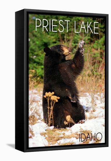 Priest Lake, Idaho - Bear Playing-Lantern Press-Framed Stretched Canvas