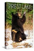 Priest Lake, Idaho - Bear Playing-Lantern Press-Stretched Canvas