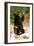 Priest Lake, Idaho - Bear Playing-Lantern Press-Framed Art Print