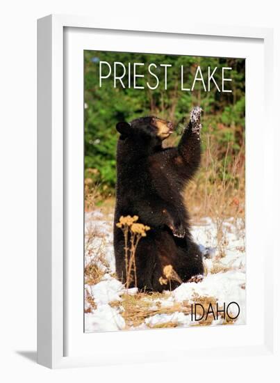Priest Lake, Idaho - Bear Playing-Lantern Press-Framed Art Print