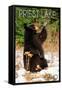 Priest Lake, Idaho - Bear Playing-Lantern Press-Framed Stretched Canvas