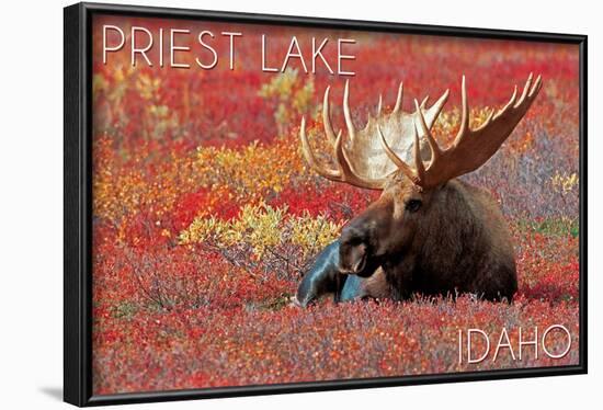 Priest Lake, Idaho - Bull Moose in Flowers-Lantern Press-Framed Art Print