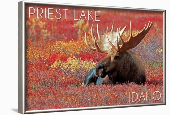 Priest Lake, Idaho - Bull Moose in Flowers-Lantern Press-Framed Art Print