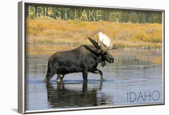 Priest Lake, Idaho - Bull Moose-Lantern Press-Framed Art Print