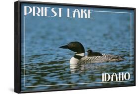 Priest Lake, Idaho - Loon and Chick-Lantern Press-Framed Art Print