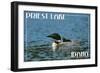 Priest Lake, Idaho - Loon and Chick-Lantern Press-Framed Art Print