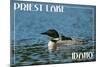 Priest Lake, Idaho - Loon and Chick-Lantern Press-Mounted Art Print