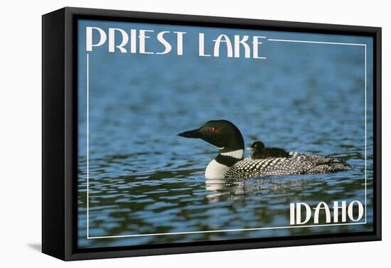 Priest Lake, Idaho - Loon and Chick-Lantern Press-Framed Stretched Canvas