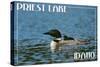 Priest Lake, Idaho - Loon and Chick-Lantern Press-Stretched Canvas