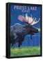 Priest Lake, Idaho - Moose At Night-null-Framed Poster