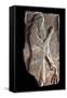 Priest with a Branch of Pomergranate Tree, 722-705 BC-null-Framed Stretched Canvas